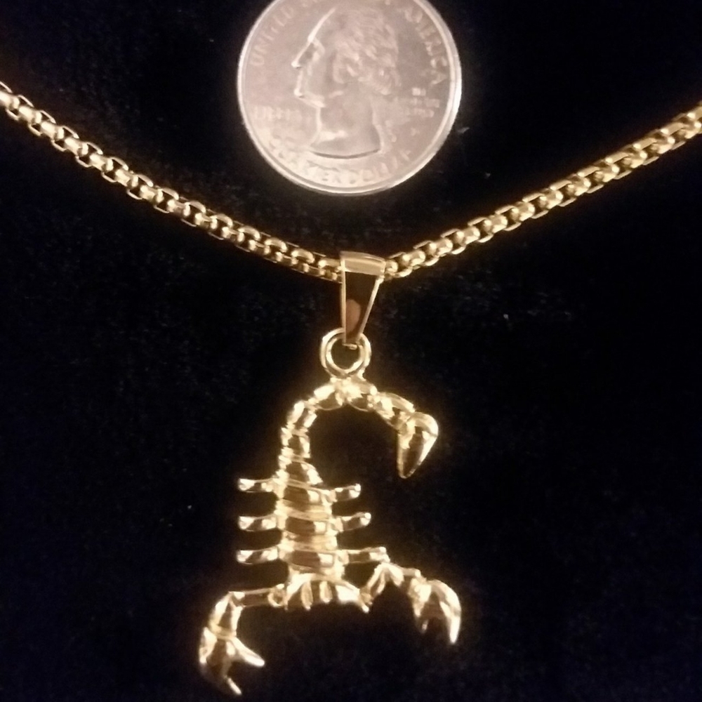 Stainless steel men's scorpion necklace